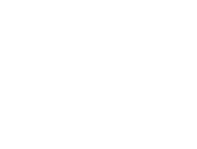 ADHS Reporte